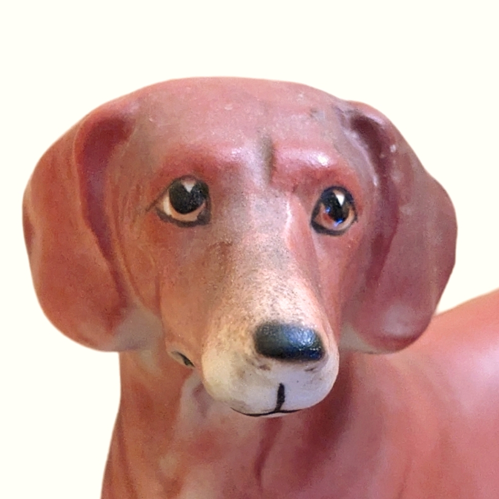 Vintage Dachshund Bone China Collectible